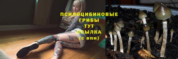 прущая мука Медногорск