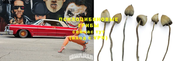 круглые Надым