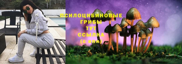 круглые Надым
