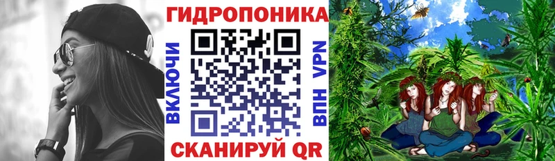 Бошки марихуана план  Калач 